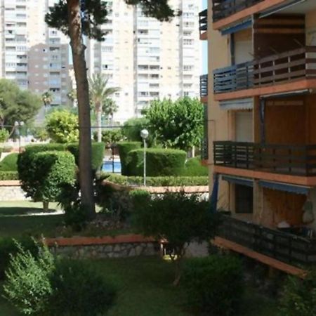 Las Lanzas Studio Apartment Playa Muchavista El Campello Bagian luar foto