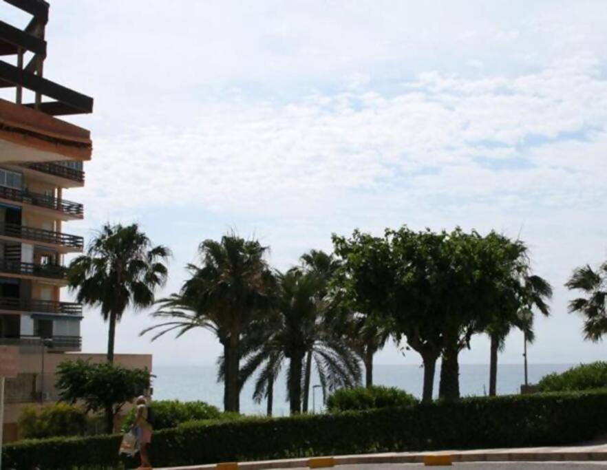 Las Lanzas Studio Apartment Playa Muchavista El Campello Bagian luar foto