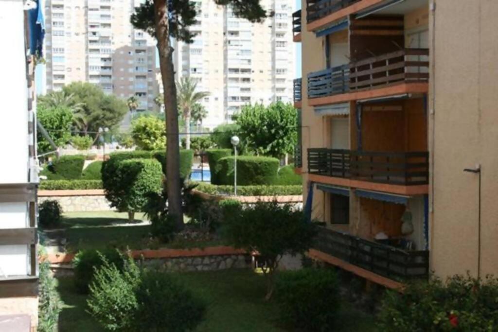 Las Lanzas Studio Apartment Playa Muchavista El Campello Bagian luar foto